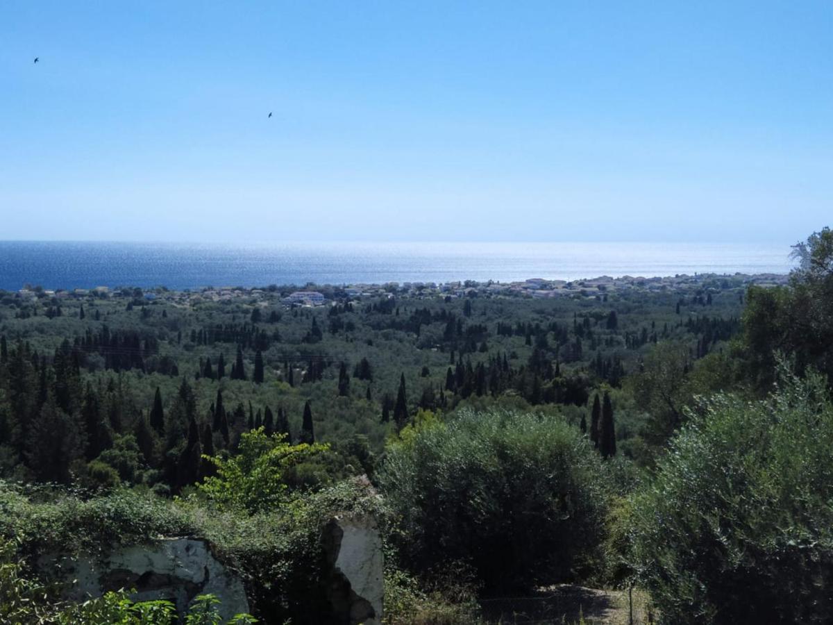Mnf Country House Agios Georgios  Bagian luar foto