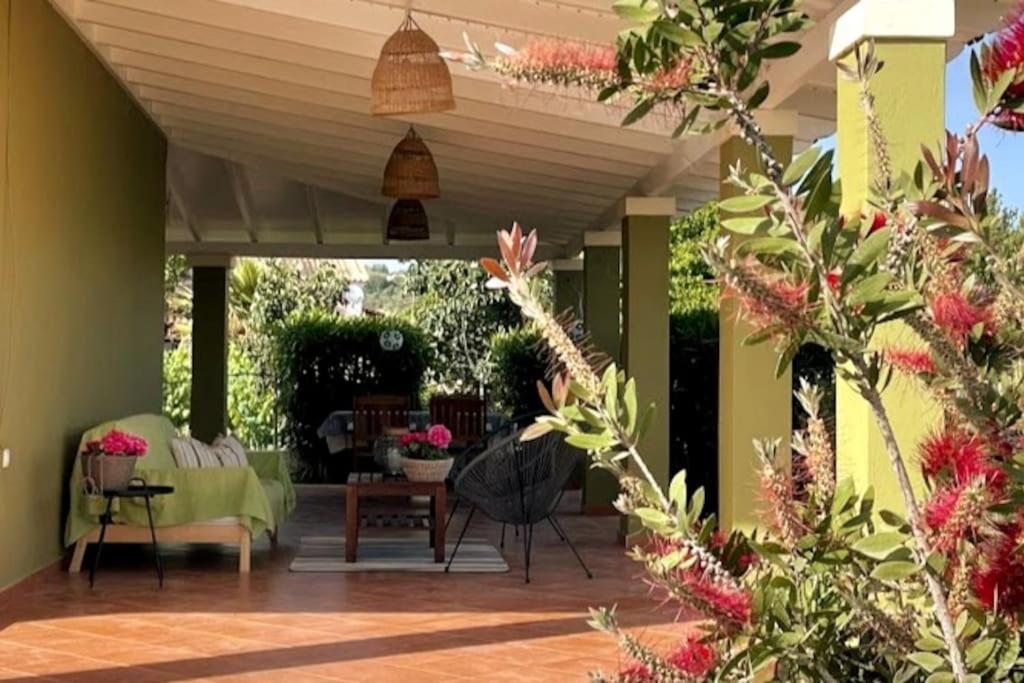Mnf Country House Agios Georgios  Bagian luar foto